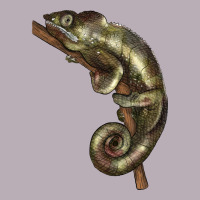 Green Chameleon Lizard Illustrations Vintage Tee | Teevron
