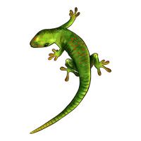 Green Lizard Illustrations | Teevron