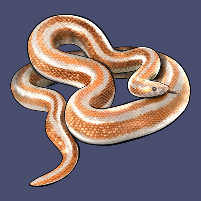 Rosy Boa Snake Illustrations Vintage Tee by LillyAllenDesigns | Teevron