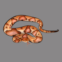 Copperhead Snake Illustrations Vintage Tee | Teevron