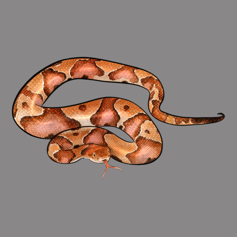 Copperhead Snake Illustrations Vintage Tee by LillyAllenDesigns | Teevron