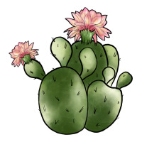 cactus | Teevron