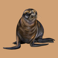 Sea Lion Illustrations Vintage Tee | Teevron
