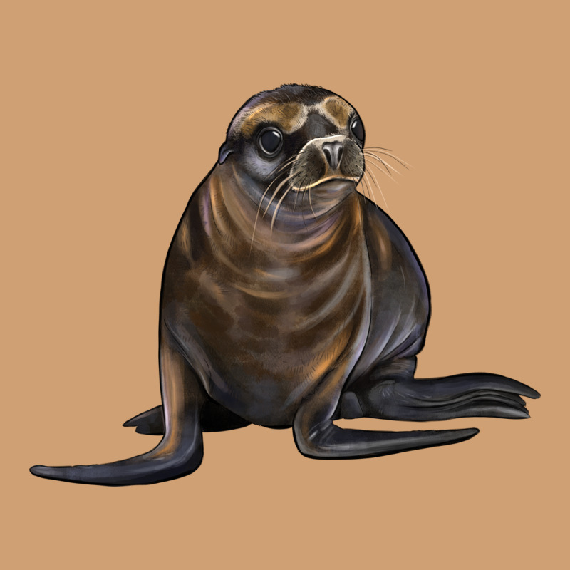 Sea Lion Illustrations Vintage Tee by LillyAllenDesigns | Teevron