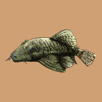 Bristlenose Placo Vintage Tee | Teevron