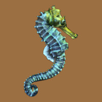 Blue Seahorse Vintage Tee | Teevron