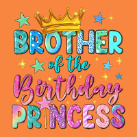 Brother Of The Birthday Princess Premium Sweatshirt | Teevron