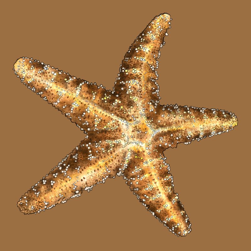 Starfish Vintage Tee by LillyAllenDesigns | Teevron