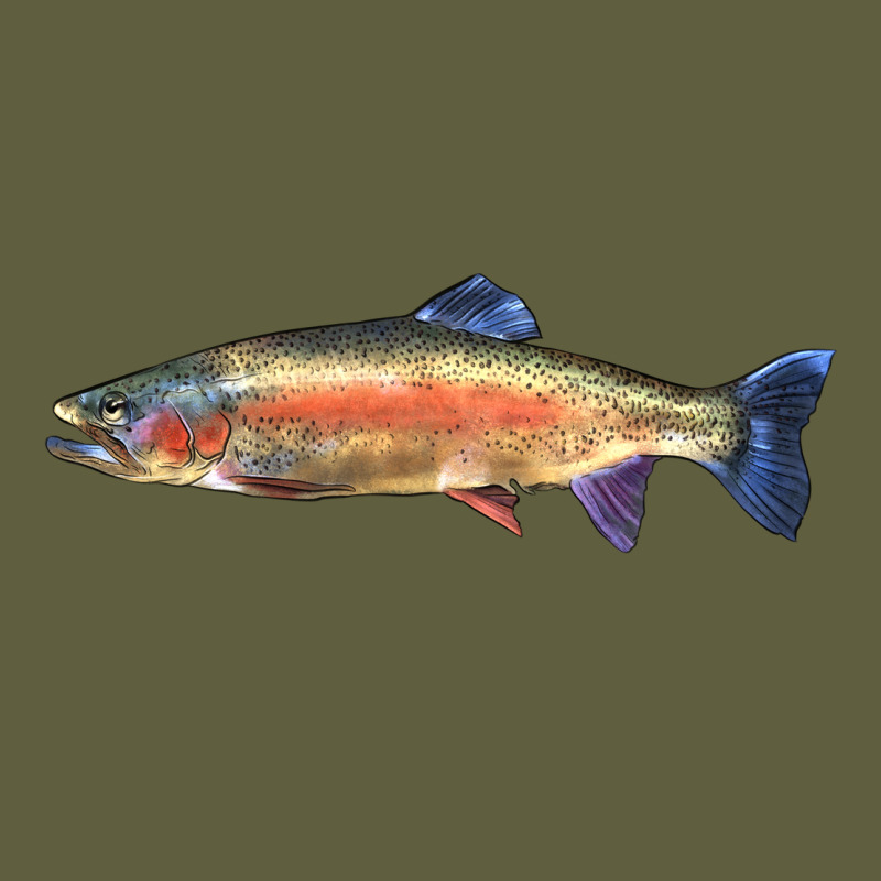 Rainbow Trout Vintage Tee by LillyAllenDesigns | Teevron