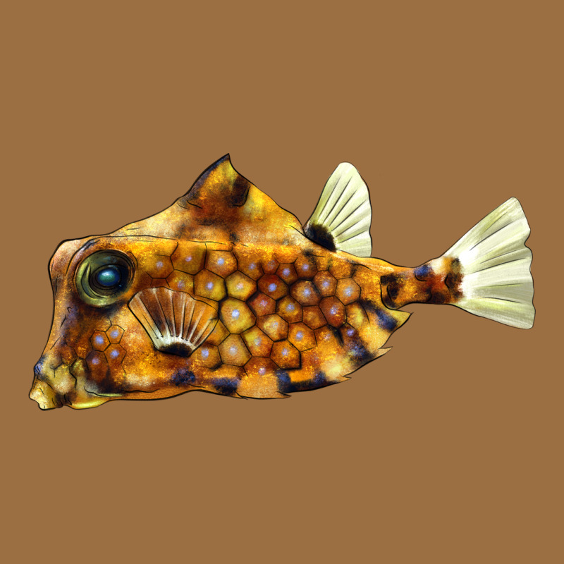 Humpback Turretfish Vintage Tee by LillyAllenDesigns | Teevron