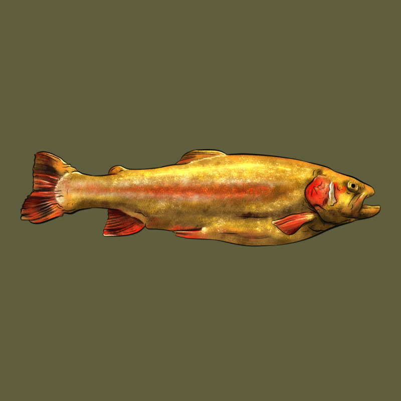 Golden Trout West Virginia Vintage Tee by LillyAllenDesigns | Teevron