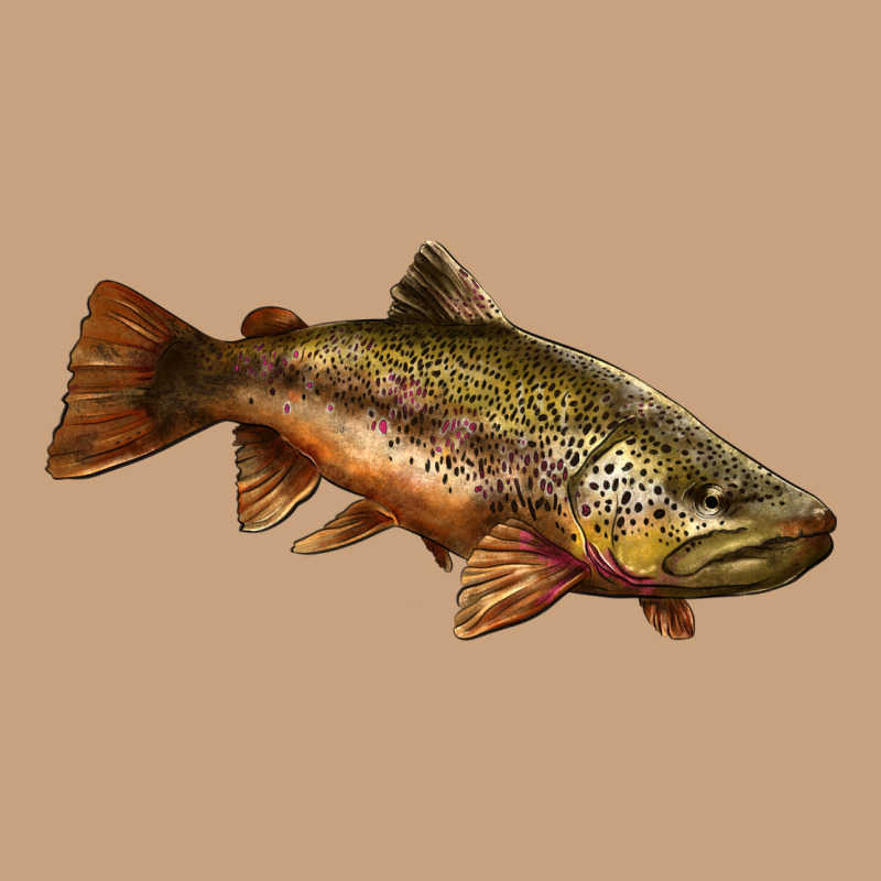 Brown Trout Vintage Tee by LillyAllenDesigns | Teevron