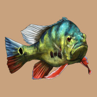 Peacock Bass Illustrations Vintage Tee | Teevron
