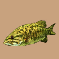 Smallmouth Bass Fish Illustrations Vintage Tee | Teevron