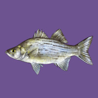 White Bass Fish Illustrations Vintage Tee | Teevron