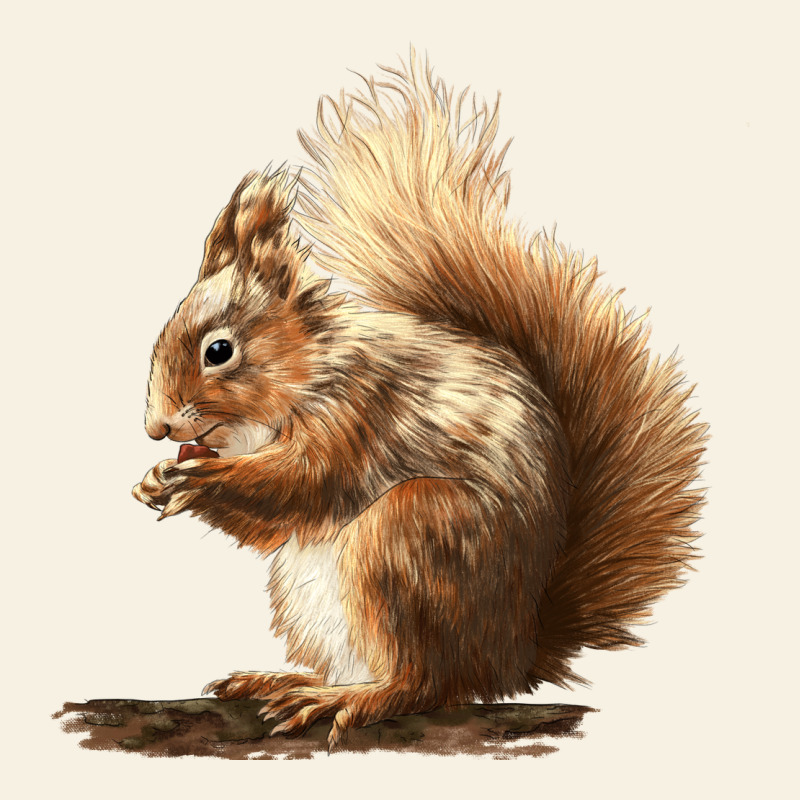 Squirrels Vintage Tee by LillyAllenDesigns | Teevron