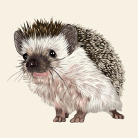 Hedgehog Illustrations Vintage Tee | Teevron
