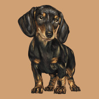 Dachshund Vintage Tee | Teevron