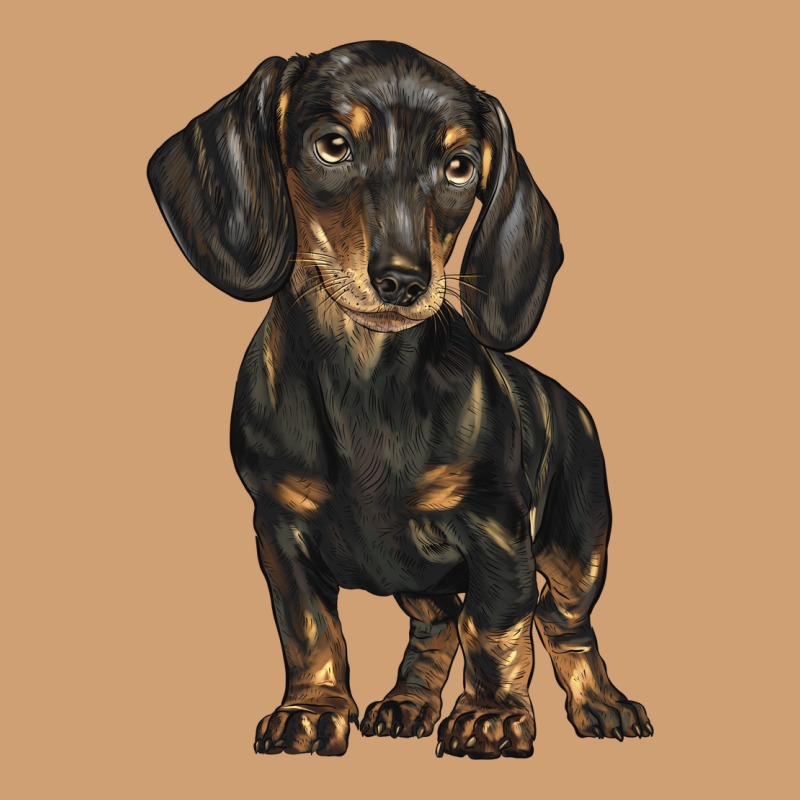 Dachshund Vintage Tee by BarkalooDesign | Teevron