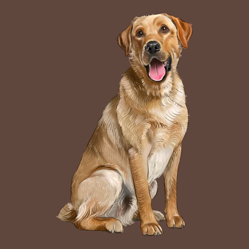 Labrador Retriever Llustrations Classic Tee by LillyAllenDesigns | Teevron
