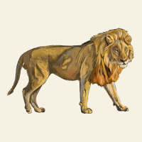 Lion Vintage Tee | Teevron