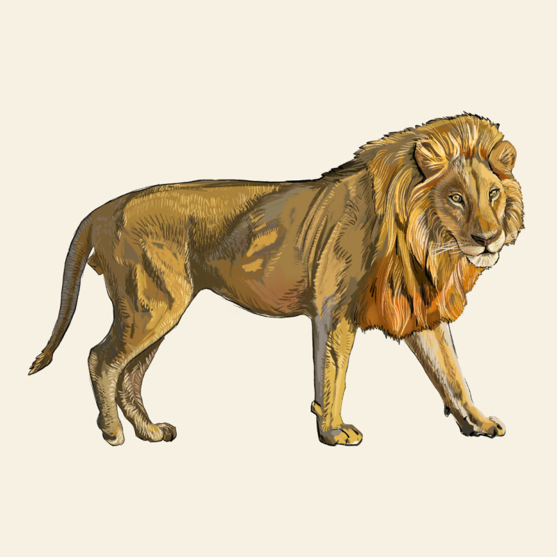 Lion Vintage Tee by LillyAllenDesigns | Teevron