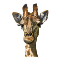 giraffe head | Teevron