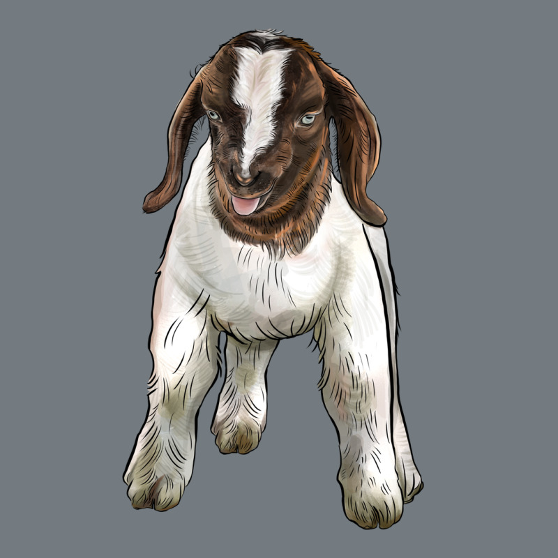 Baby Boer Goat Heavyweight Sweatshirt by LillyAllenDesigns | Teevron