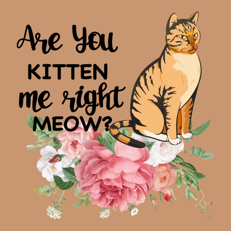 Are You Kitten Me Right Meow Heavyweight Hoodie by Bettercallsaul | Teevron