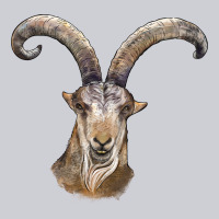 Spanish Goat Face Heavyweight Sweatshirt | Teevron