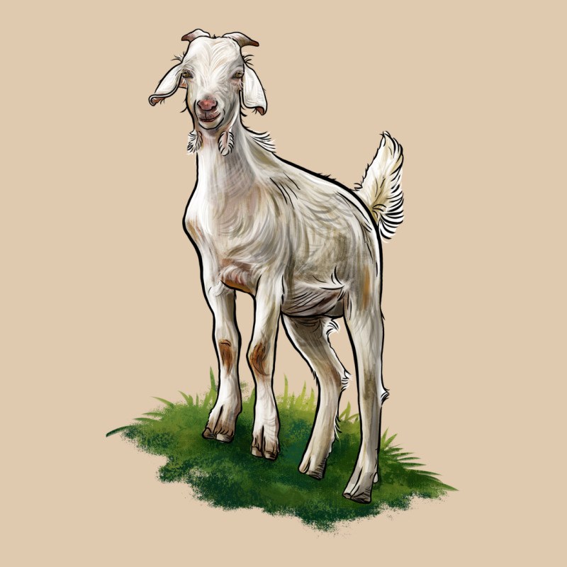 Kiko Goat Heavyweight Sweatshirt by LillyAllenDesigns | Teevron