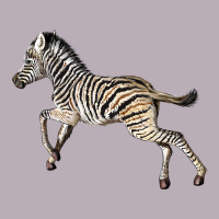 Baby Zebra Vintage Tee | Teevron