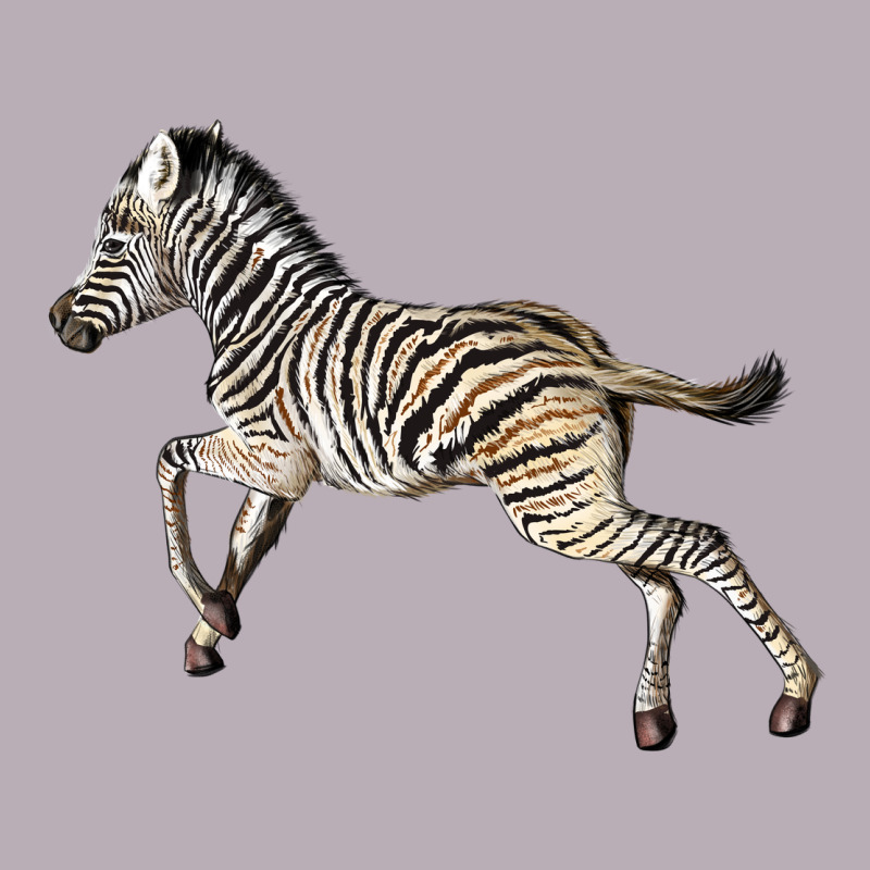 Baby Zebra Vintage Tee by LillyAllenDesigns | Teevron