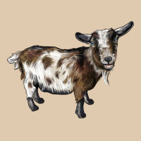 Nigerian Dwarf Goat Heavyweight Sweatshirt | Teevron