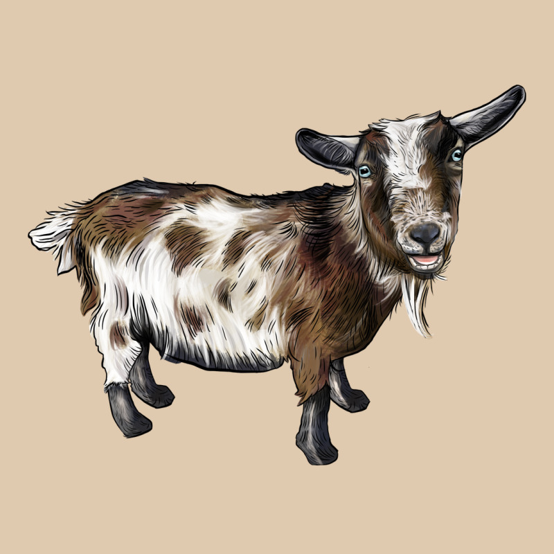 Nigerian Dwarf Goat Heavyweight Sweatshirt by LillyAllenDesigns | Teevron