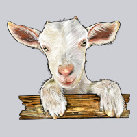 Baby Cashmere Goat Heavyweight Sweatshirt | Teevron