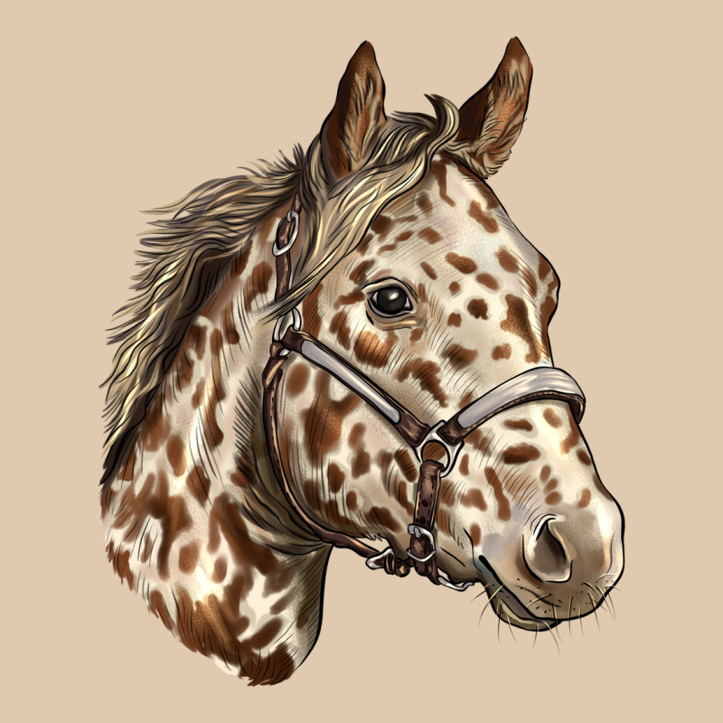 Appaloosa Horse Heavyweight Sweatshirt by LillyAllenDesigns | Teevron