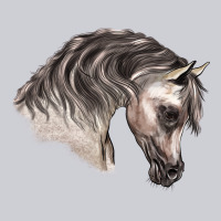 Arabian Horse Heavyweight Sweatshirt | Teevron