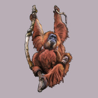 Orangutan And Baby Vintage Tee | Teevron
