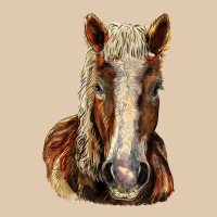Belgian Horse Heavyweight Sweatshirt | Teevron