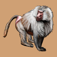 Baboon Vintage Tee | Teevron