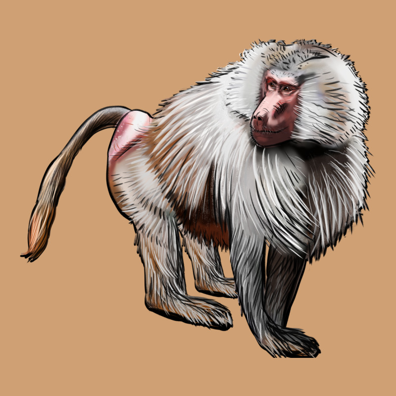 Baboon Vintage Tee by LillyAllenDesigns | Teevron