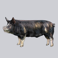 Berkshire Pig Heavyweight Sweatshirt | Teevron
