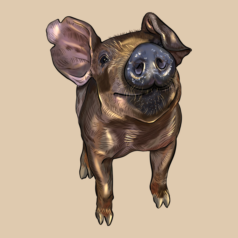 Baby Duroc Pig Heavyweight Sweatshirt by LillyAllenDesigns | Teevron