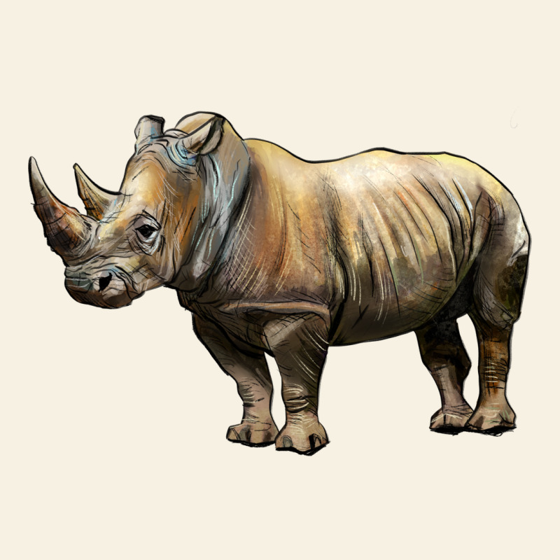 Rhino Illustrations Vintage Tee by LillyAllenDesigns | Teevron