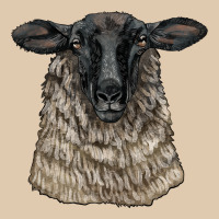 Suffolk Sheep Head Heavyweight Sweatshirt | Teevron