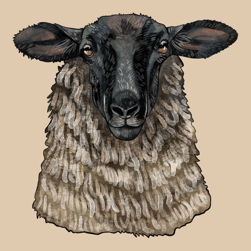 Suffolk Sheep Head Heavyweight Sweatshirt by LillyAllenDesigns | Teevron