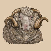 Merino Wool Sheep Head Heavyweight Sweatshirt | Teevron