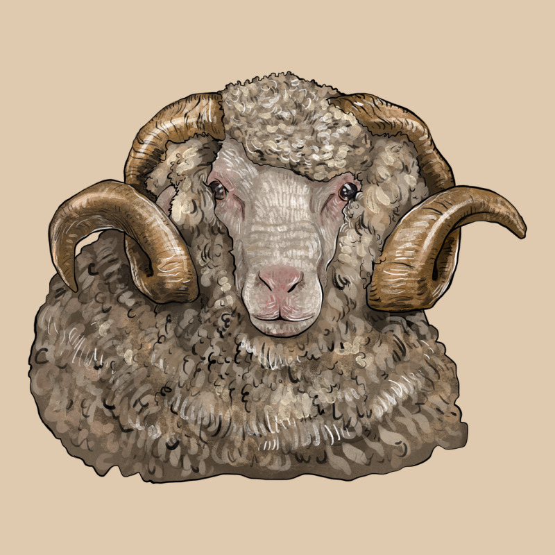 Merino Wool Sheep Head Heavyweight Sweatshirt by LillyAllenDesigns | Teevron
