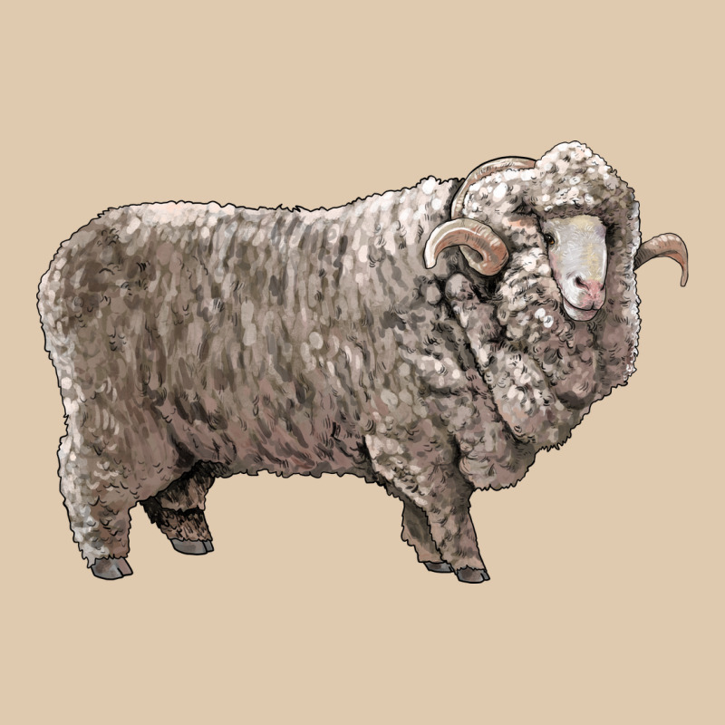 Rambouillet Sheep Heavyweight Sweatshirt by LillyAllenDesigns | Teevron